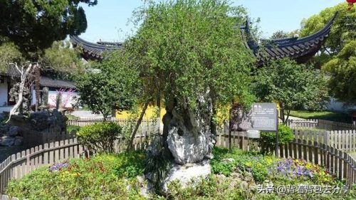 江苏古城景点排名前十(江苏出名的古镇)插图2