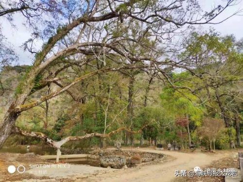 赤水风水公司排名前十(贵州最厉害的风水大师是谁)插图2