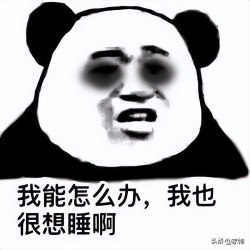 隔音阻尼片排名前十(隔音阻尼片50和110有什么不同)插图