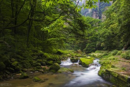 张家界著名旅游景点(张家界的旅游景点大全)插图21