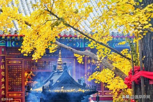 鞍山好看景点排名前十(鞍山旅游景点大全介绍)插图8
