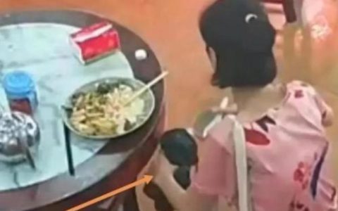 广州投毒人员排名前十(广州投毒事件)