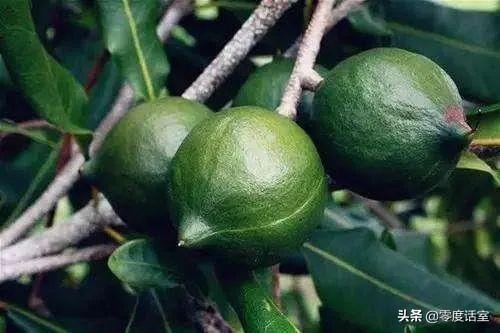 罗伯特纳维利斯(罗伯特·纳维利斯什么时候出生的)插图29