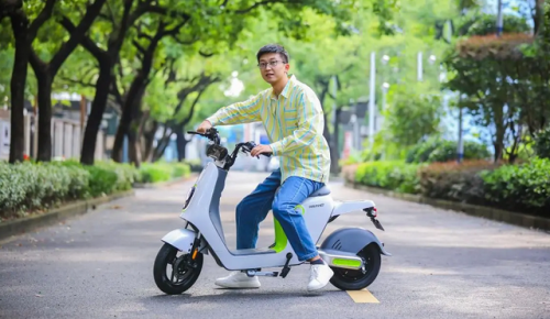 电动车十大品牌(正规十大名牌电动车)插图7