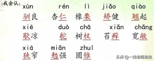铃组词拼音(铃的多音字有哪些)插图1