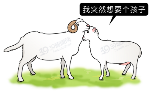 同志催情(rush是什么东西的中文名)插图6