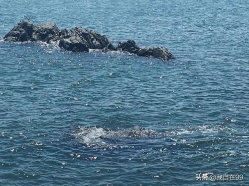 兴城旅游景点(兴城温泉包吃住50元)插图8
