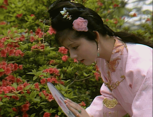 芙蓉如面柳如眉(芙蓉不及美人妆,水殿风来珠翠香)插图4