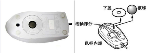 鹰之梦罗马复兴(罗马复兴各战队)插图7
