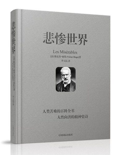 悲惨世界主要内容(巴黎圣母院故事主要内容)插图