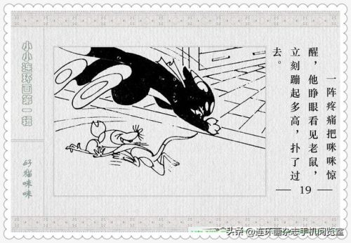 好猫咪咪(好猫咪咪的登录方式)插图20