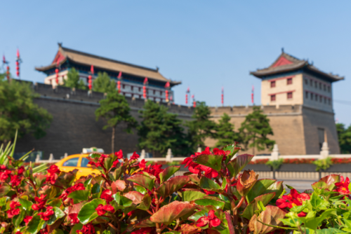 城墙绿化公司排名前十(杭州绿化公司排名前十)插图18