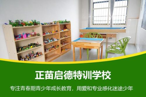 孝感封闭学校排名前十(孝感初中排名)插图1