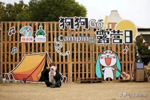 世界露营小屋排名前十(东莞十大露营地点排名)插图10