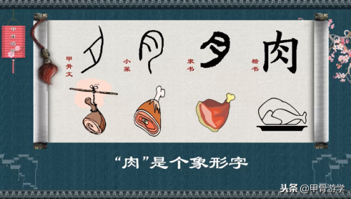 肉的笔顺(肉的部首是什么,再查几笔)插图7