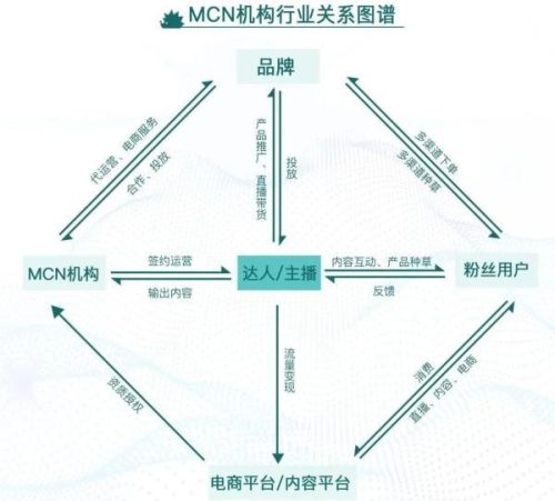 mcn机构是什么意思(mcn运营模式)插图2