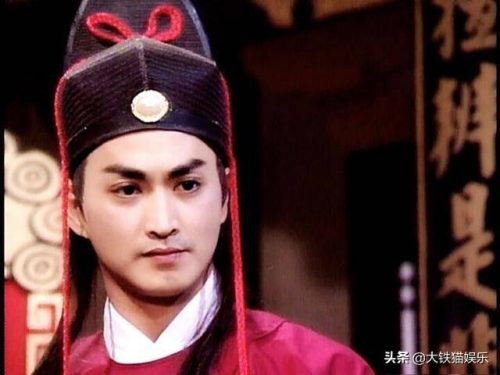 武侠明星(中国50位武打明星)插图30