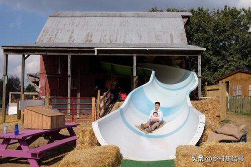 美国玉米农庄排名前十(玉米农庄)插图23