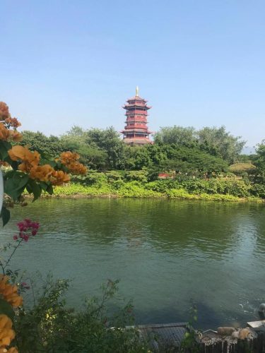 厦门园博苑(厦门园博苑怎么预约)插图