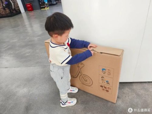 儿童平衡车排名前十(儿童平衡车10大品牌)插图15