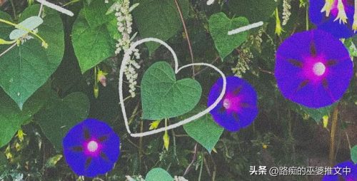 好看的原耽小说有哪些(纯爱排行榜前十名)插图