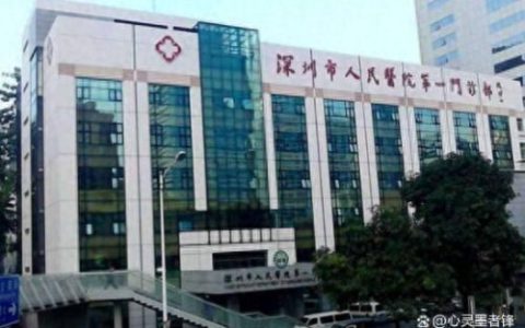 深圳医院排名前十的(深圳妇科三甲医院排名)