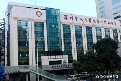 深圳医院排名前十的(深圳妇科三甲医院排名)插图