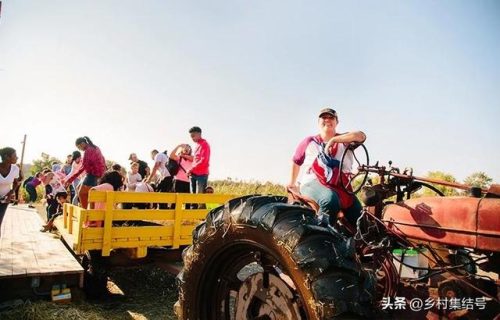 美国玉米农庄排名前十(玉米农庄)插图10
