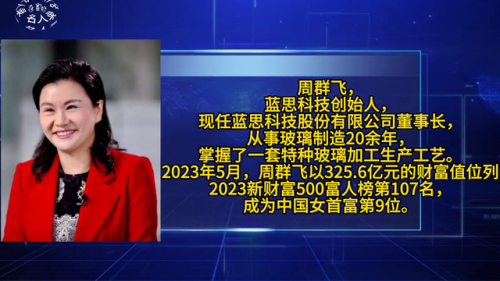 中国漂亮富豪排名前十(中国帅气富豪排行榜)插图1