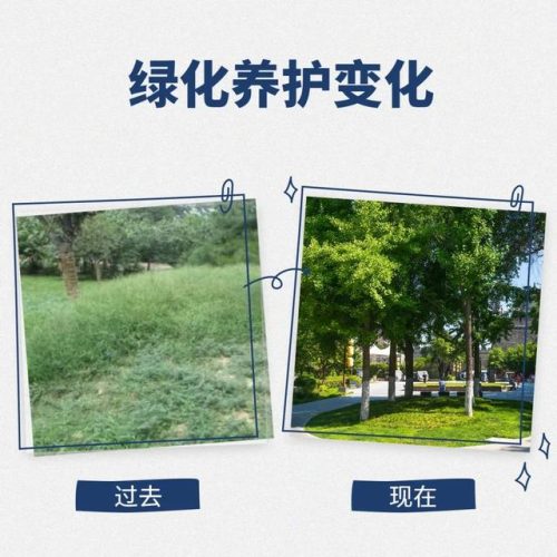 城墙绿化公司排名前十(杭州绿化公司排名前十)插图6