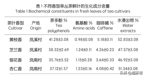 单枞茶排名前十(长期喝单丛的危害)插图8