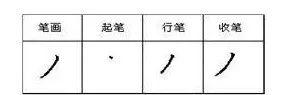 你的笔顺(你的正确写法)插图6