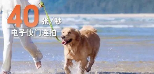 佳能e1(佳能打印机e1是什么故障代码)插图8