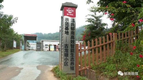 最大养殖小区排名前十(吉林养殖小区排名前十)插图
