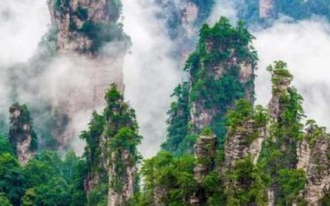 张家界著名旅游景点(张家界的旅游景点大全)