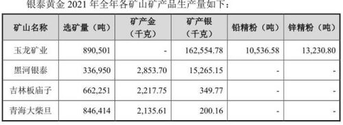 山东黄金矿业股份有限公司(山东黄金集团王立君与张瑜)插图