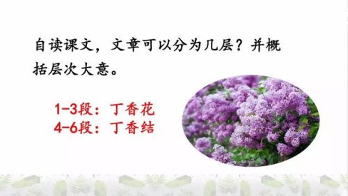 霜树尽空枝肠断丁香结(芭蕉不展丁香结同向春风各自愁)插图18