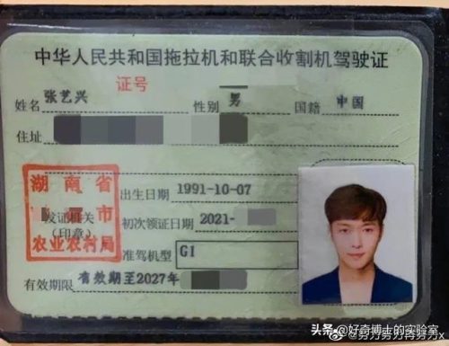 粉木耳什么意思(粉_木耳)插图15