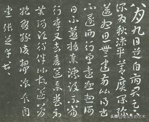 顶级形体大师排名前十(体态大师是什么)插图1