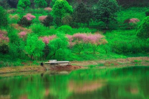 常德所有景区排名前十(中国5a景区排名100强表)插图3