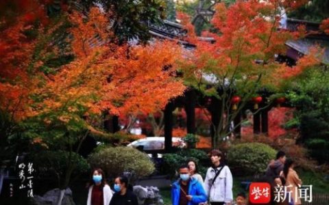 南京栖霞山(栖霞山邮轮母港已经凉了吗)