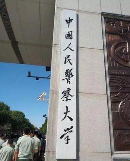 战术教育机构排名前十(战术品牌排行榜)插图2