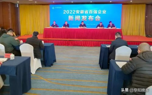 阜阳行业排名前十公司(阜阳家政公司排行榜)插图1