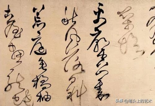 顶级形体大师排名前十(体态大师是什么)插图15