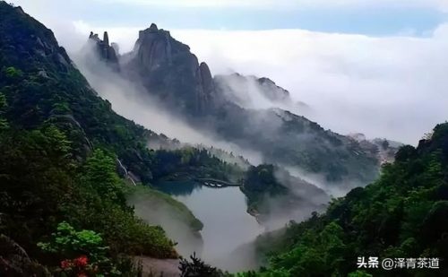 常用茶道排名前十(十大茶叶)插图36