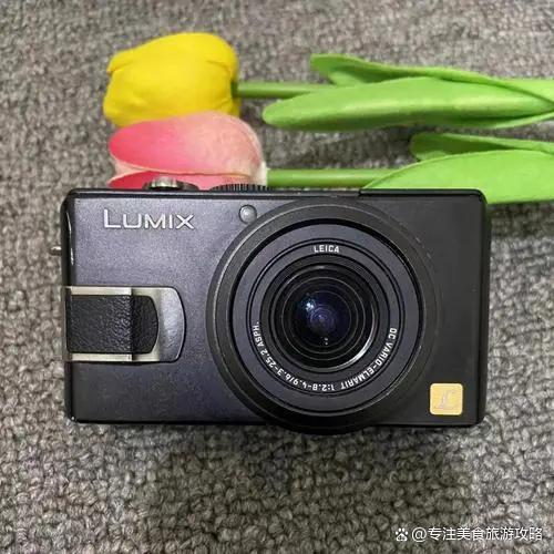 专业相机品牌(十大顶级专业摄影机)插图8