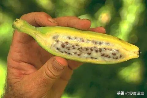 罗伯特纳维利斯(罗伯特·纳维利斯什么时候出生的)插图12