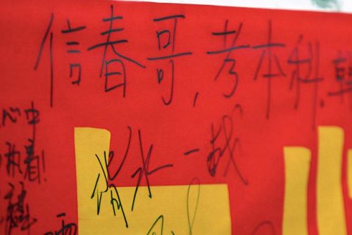 春哥是谁(春哥是什么植物)插图5