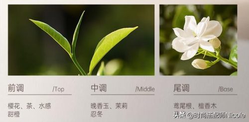 飘柔洗发露(飘柔洗发水怎么样)插图19