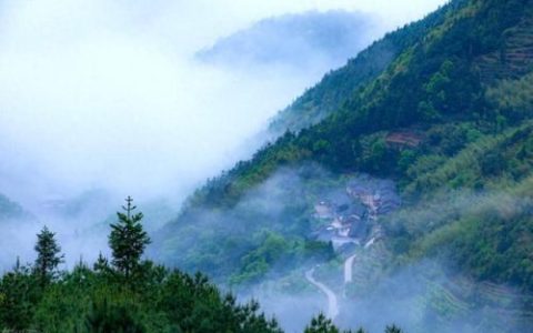 漳州排名前十的高山(世界最高峰排名前十)